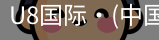 U8国际